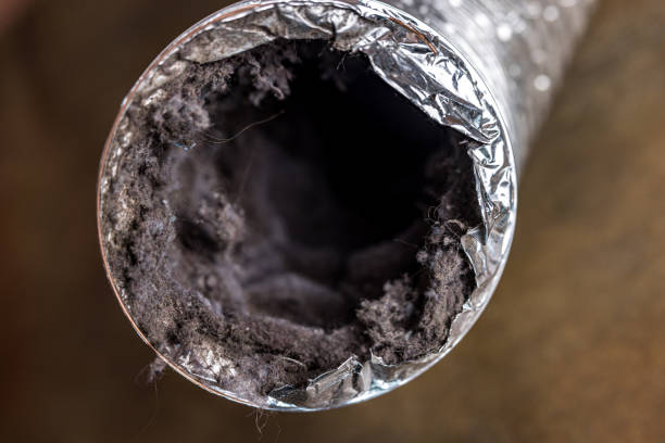 Best Affordable HVAC Duct Cleaning  in East Valley, NV