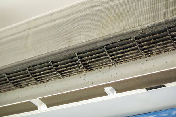 Best Best Air Duct Cleaning Company  in East Valley, NV