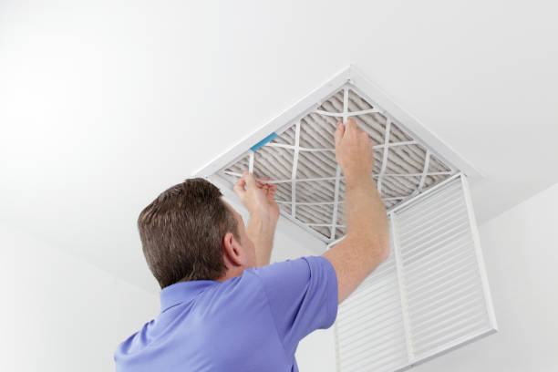 Air Duct Mold Removal in NV